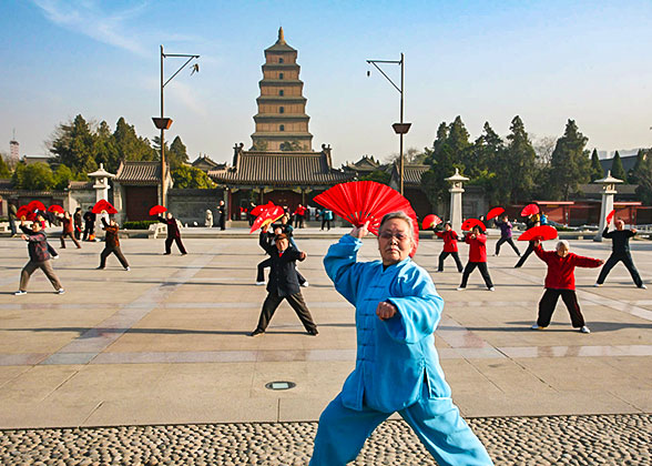 Giant Wild Goose Pagoda, Xi'an