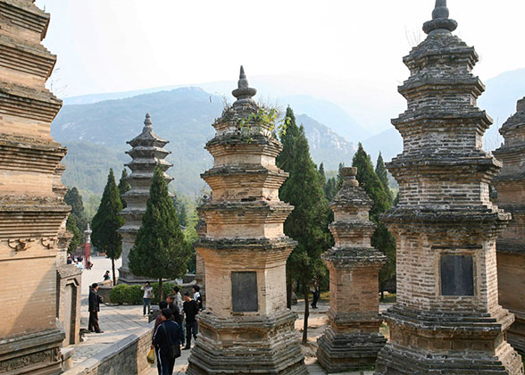 Shaolin Temple Shaolin Temple