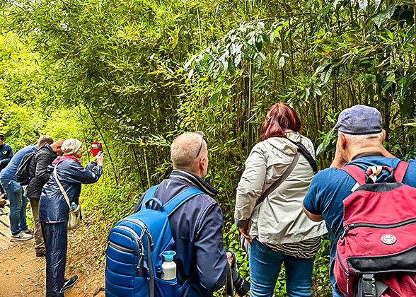 Andasibe National Park