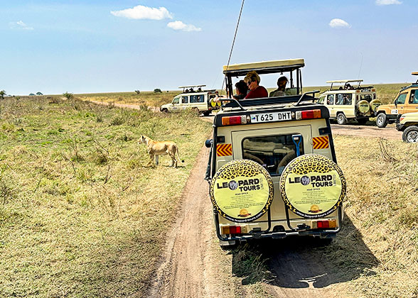 Game Drive in Kenya