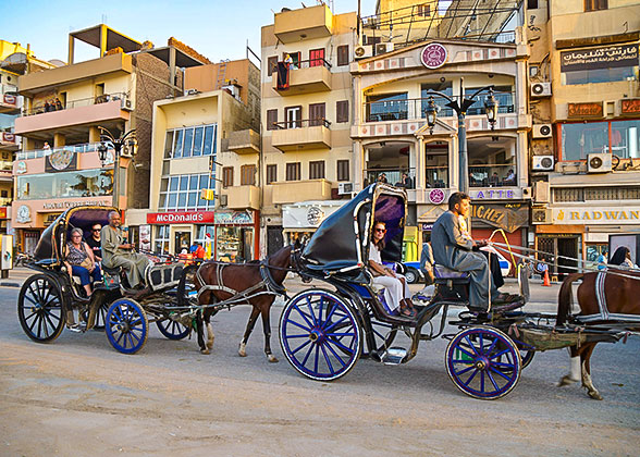 Horse Carriage in Edfu
