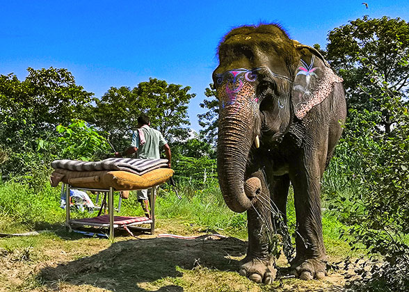 Yala National Park, Tissamaharama