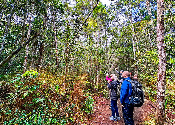 Zombitse-Vohibasia National Park